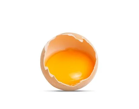 Egg isolated on white background Фото