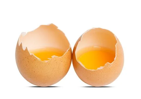 Egg isolated on white background Stock Photos