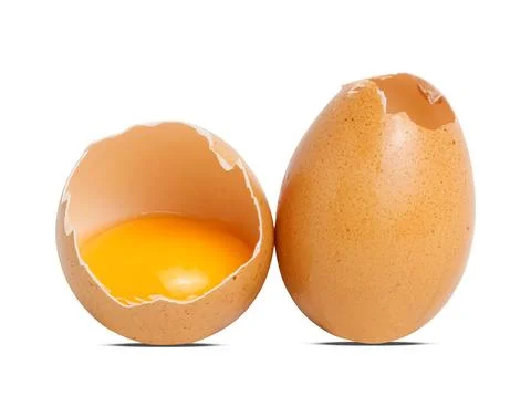 Egg isolated on white background 스톡 사진