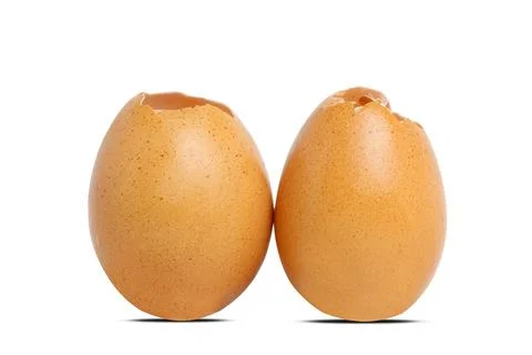 Egg isolated on white background Stock Photos