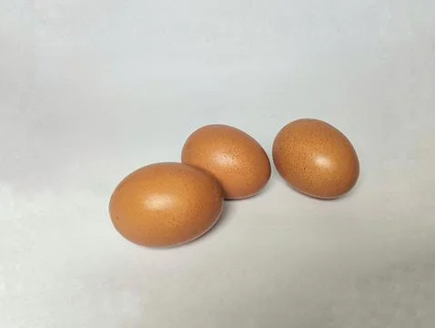 Egg isolated white background. Stock Photos