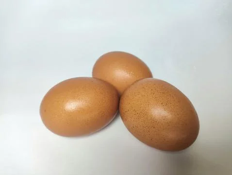 Egg isolated white background. Stock Photos