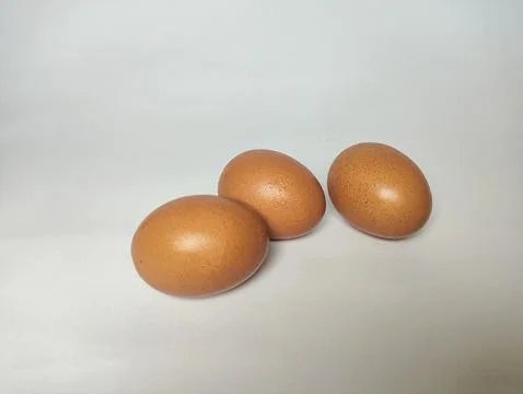 Egg isolated white background. Stock Photos