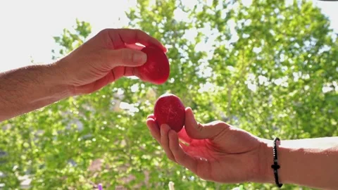 Egg knocking Stock Footage 239765257