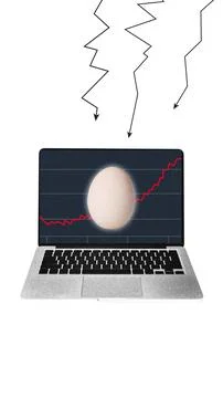 Egg on laptop screen surrounded by downward financial lines. Fragile economy Stock Photos