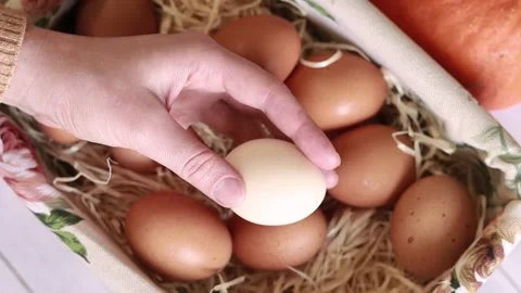 The egg laying on palm of hand Stock Footage 233602024