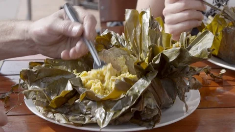 Egg in Leaf in Columbia Stock Footage 120580763