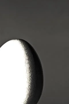 Egg in light and shadow Stock Photos