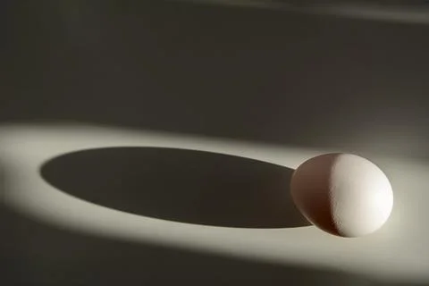 Egg lit by the sun Stock Photos