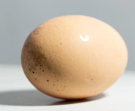 Egg macro Stock Photos