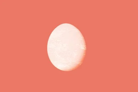 Egg with map texture on coral background. Stock Photos