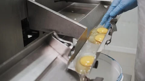 Egg mass on the conveyor in the culinary workshop Stock Footage 322392357