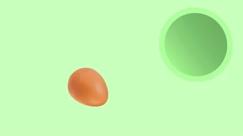 Egg on motion Stock Footage 135835113