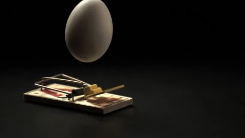 Egg in a mousetrap Stock Footage 277605388