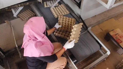 Egg napan making machine. Stock Footage 272771401