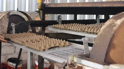 Egg napan making machine. Stock Footage 272771657