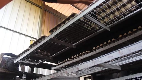 Egg napan making machine. Stock Footage 272772311