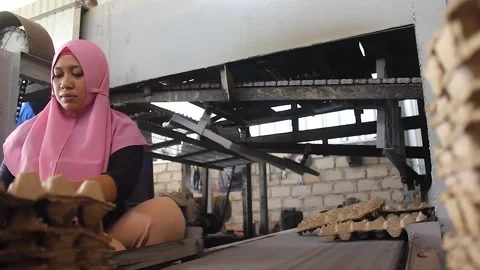 Egg napan making machine. Stock Footage 272772315