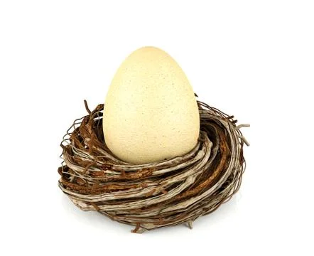 Egg in nest Stock Illustration