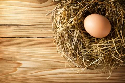 Egg in nest Stock Photos