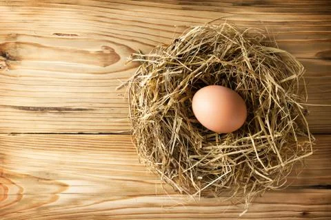 Egg in nest Stock Photos