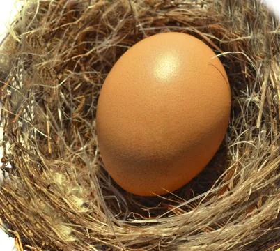 Egg nest Stock Photos