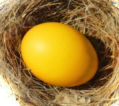 Egg nest Stock Photos