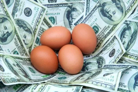 Egg nest Stock Photos