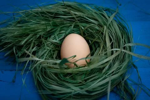 Egg in the nest Stock Photos