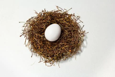 Egg in the nest on a white background Stock Photos