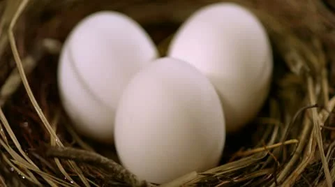 Egg in next, Slow Motion Stock Footage 9290944
