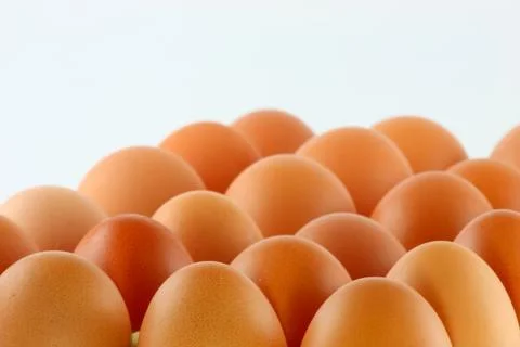 Egg; object on a white background Stock Photos