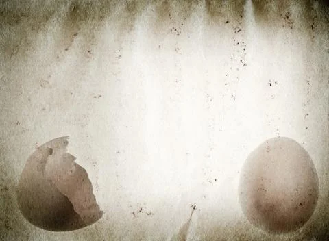 Egg old grunge paper texture 스톡 일러스트