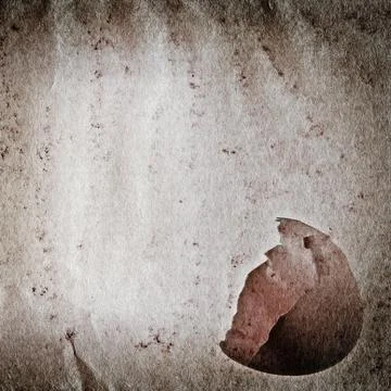 Egg old grunge paper texture Stock Illustration