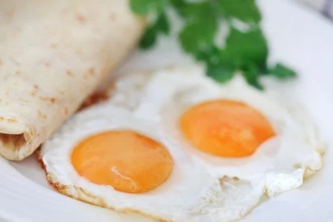 Egg omelet with tortilla bread Stock Photos