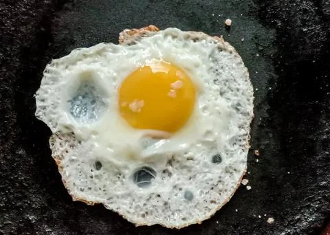 Egg omlet Stock Photos