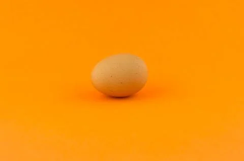 Egg Orange Background Stock Photos