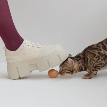 An egg over which a leg hung in coarse and massive shoes. The concept of dang Stock Photos