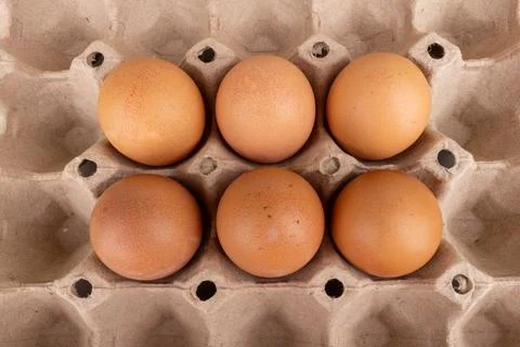Egg pack closeup isolated on white background Stock Photos