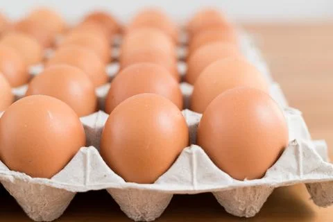 Egg in pack Stock Photos