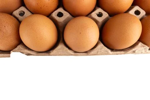 Egg pack space isolated on white background Stock Photos