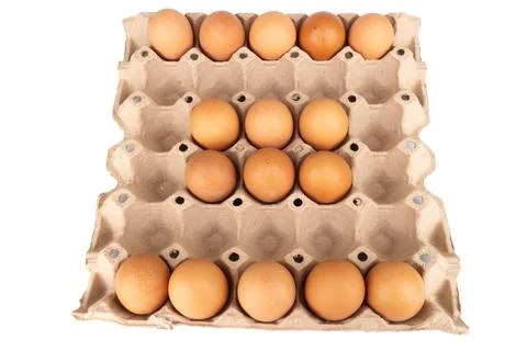 Egg pack space isolated on white background Foto stock