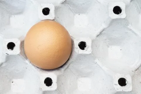 Egg on the package Stock Photos