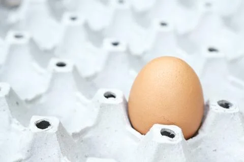 Egg on the package Stock Photos