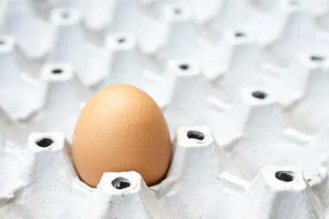Egg on the package Stock Photos
