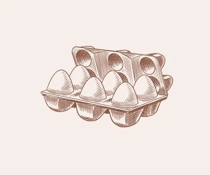 Egg packaging. Farm product. Engraved hand drawn retro vintage sketch. Woodcut Stock Illustration