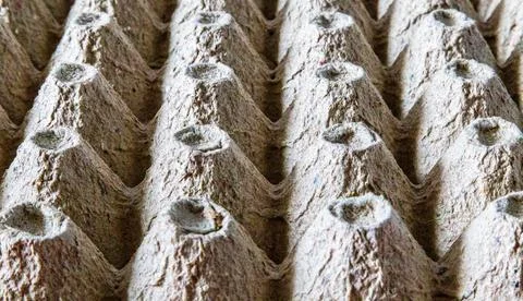 Egg packaging. Recycled paper. processing. Food processing Stock Photos