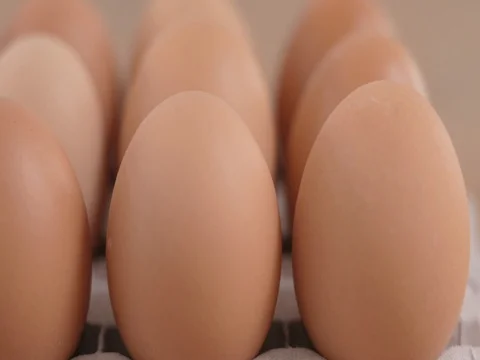 Egg packed Stock Footage