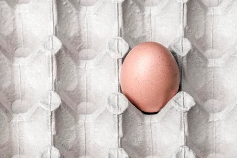 Egg in a packing Stock Photos