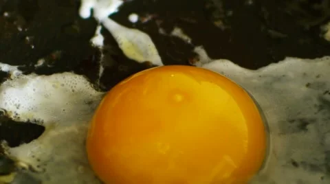 Egg in the pan 库存影片 41064327